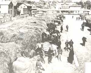 Surplus hay from local farmers is sold at Market Square (now, appropriately, the Haymarket Square area) to in-town users such as the fire department, milk dairies, and vegetable vendors.