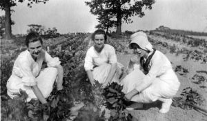 In the spirit of meatless and wheatless days during World War I, a victory garden is tended by students at Wisconsin State Normal School (Milwaukee), now UWM.